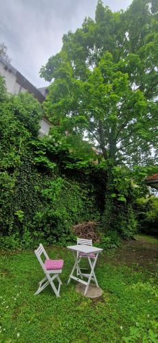 Magic Garden in the heart of Ljubljana, Lublaň (fotografie 8)
