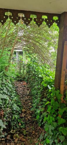 Magic Garden in the heart of Ljubljana, Lublaň (fotografie 9)