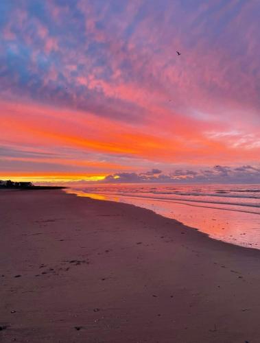 Dune Delight, Camber (foto 6)