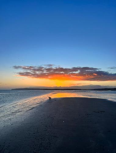 Dune Delight, Camber (foto 4)