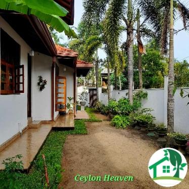 設施, Ceylon Heaven in 瓦都瓦島
