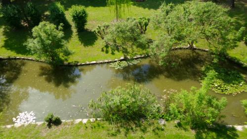 Сад, Aradia Casa a Tema Celtico Magico Naturalistico del Casale LaBandita in Кастільйоне дель Лаго