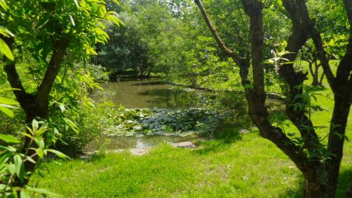 Сад, Aradia Casa a Tema Celtico Magico Naturalistico del Casale LaBandita in Кастільйоне дель Лаго