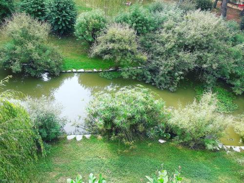 Сад, Aradia Casa a Tema Celtico Magico Naturalistico del Casale LaBandita in Кастільйоне дель Лаго