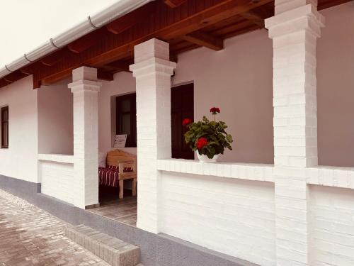Palocfoldi Menedek in Salgótarján