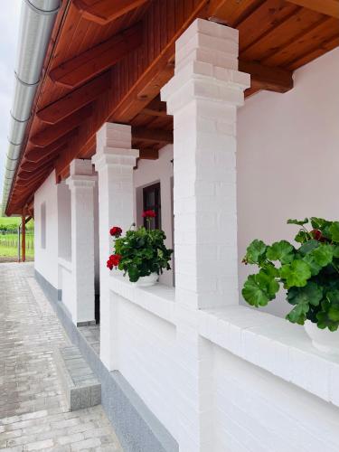 Palocfoldi Menedek in Salgótarján
