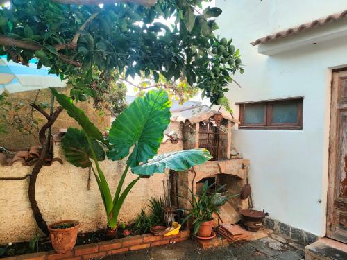 景觀, Xenion Guest House in 維拉聖焦萬尼