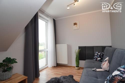 1 double bed, 1 twin bed, 1 sofa bed