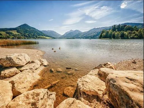 SeelenbaumlerIn in Schliersee, Deutschland