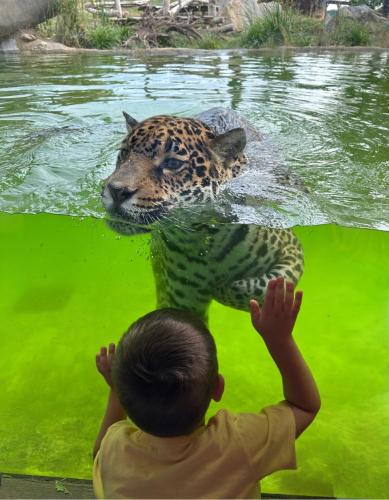 Rezidence Sadová Zlín Rezidence Sadová Zlín