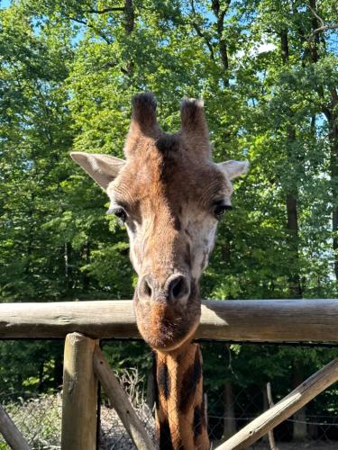 Rezidence Sadová Zlín Rezidence Sadová Zlín