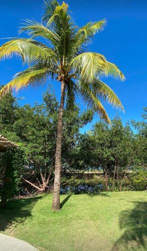 593756948 Angá Beach Hotel