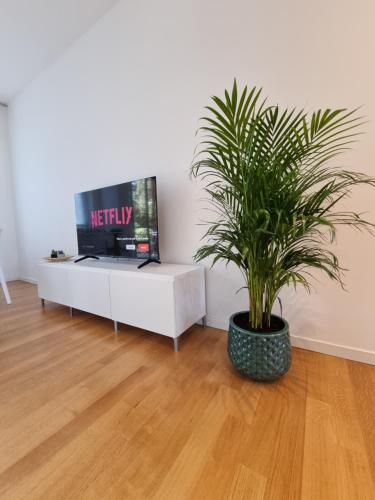 MARAGDA HOUSE Linate - Duomo- San Babila, Mediolan (zdjęcie 8)