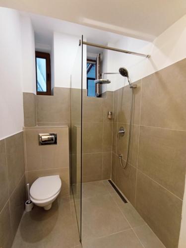 Apartment - Ground Floor image 6