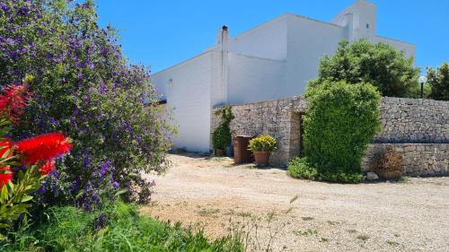 Masseria Puglia Antica B&B – Monopoli, LA