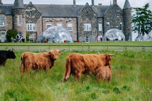 593761689 Meldrum House Hotel Golf And Country Estate