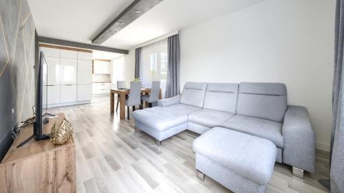 One-Bedroom Apartment image 10