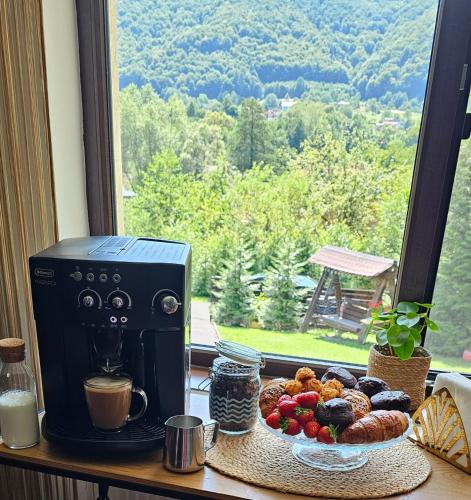 Vila Aldor - Accommodation - Bran