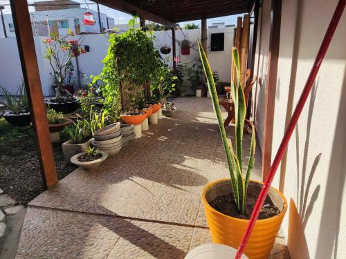 ガーデン, Da Silva residência à 200 metros da praia do Bessa (Da Silva residencia a 200 metros da praia do Bessa) in ジョアンペソア