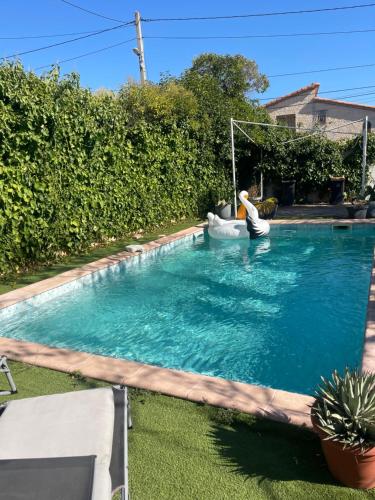 Indépendance privée avec piscine ,cuisine et parking proche hôpital nord, Marseille (Foto 8)