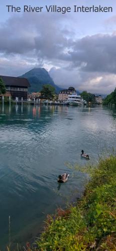 The River Village - image 3