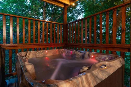 Andrea Bear Great Location Indoor Pool Theater in Pigeon Forge, USA