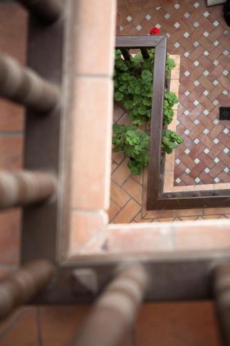 Casa del Capitel Nazarí - image 13