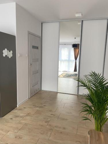 Apartamenty Zielona