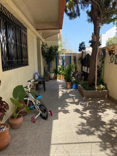 Exterior view, DAR SHaMSY in Casabarata