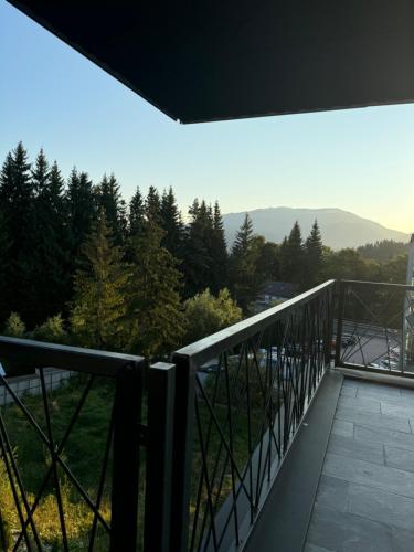 Omgeving, R&B Apartment 24 in Predeal