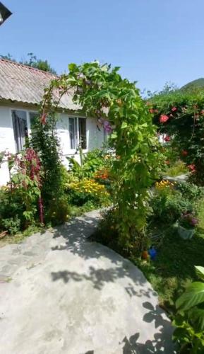 Gabala Sweet House in Vandam