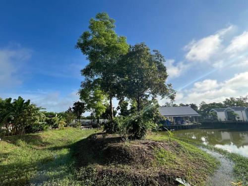 Cozy breezing countryside Pet Cozy breezing countryside Pet