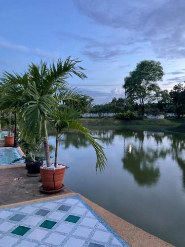 Cozy breezing countryside Pet Cozy breezing countryside Pet