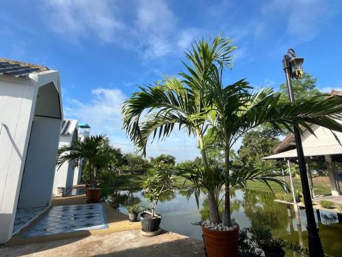 Cozy breezing countryside Pet Cozy breezing countryside Pet