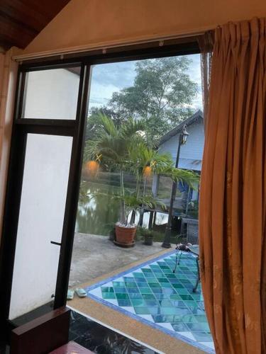 Cozy breezing countryside Pet Cozy breezing countryside Pet