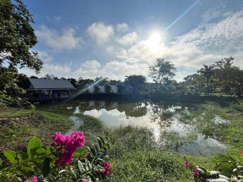 Cozy breezing countryside Pet Cozy breezing countryside Pet