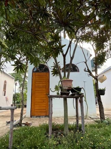 Cozy breezing countryside Pet Cozy breezing countryside Pet