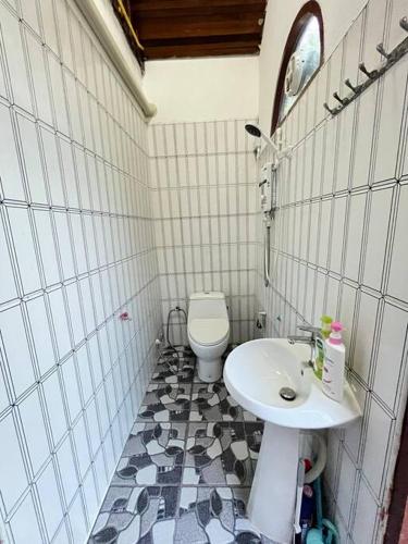 Cozy breezing countryside Pet Cozy breezing countryside Pet