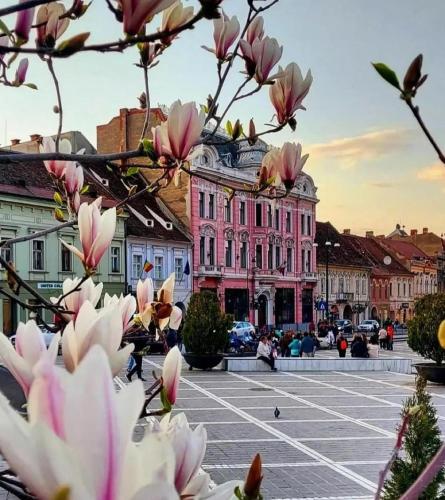 Luxurious & Spacious Residence in the Heart of Brașov, Braşov (Foto 10)