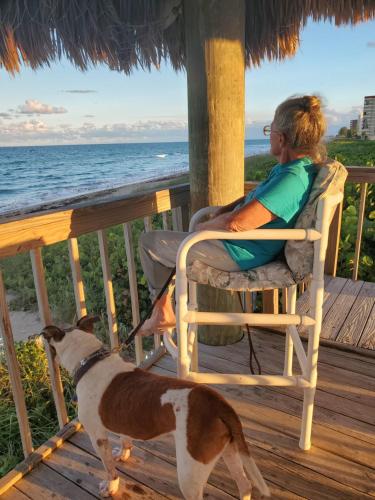 All Pets Welcome, Across From Beach, Tiki Hut in Jensen Beach, USA