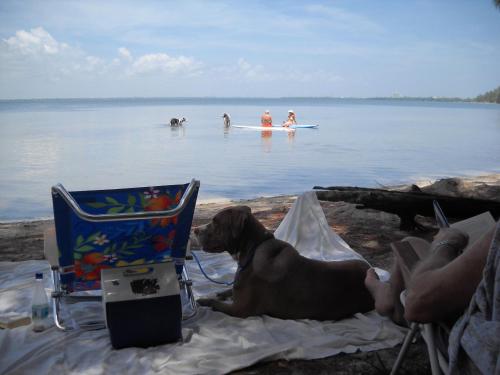 All Pets Welcome, Across From Beach, Tiki Hut in Jensen Beach, USA