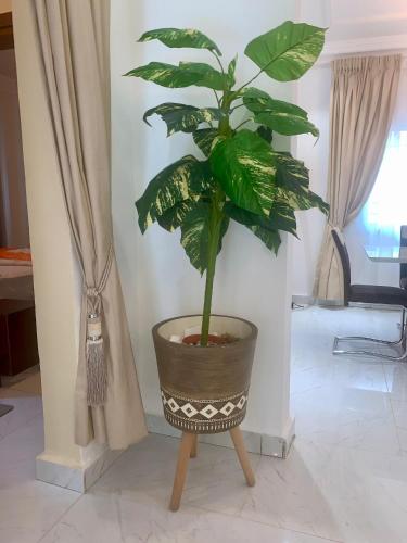 Ach Guest Home Ach Guest Home