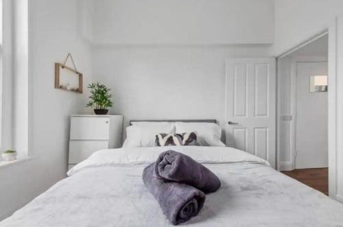 London - 2 Bedroom Flat near Clapham Junction CJ, Londra