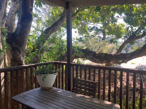 Potters Cottage in Bellingen