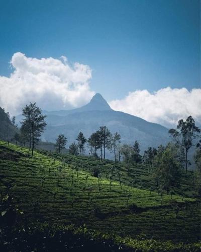 Daresh home stay in Maskeliya