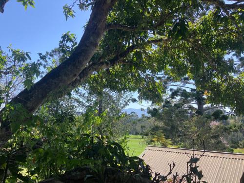 Potters Cottage in Bellingen