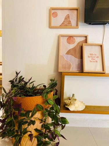 Gîte de La Dorade au coeur du Papillon