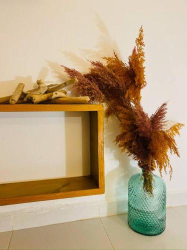 Gîte de La Dorade au coeur du Papillon