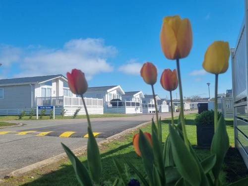 Chic, spacious & fun coastal retreat - family friendly - 3 min walk to beach Chic, spacious & fun coastal retreat - family friendly - 3 min walk to beach