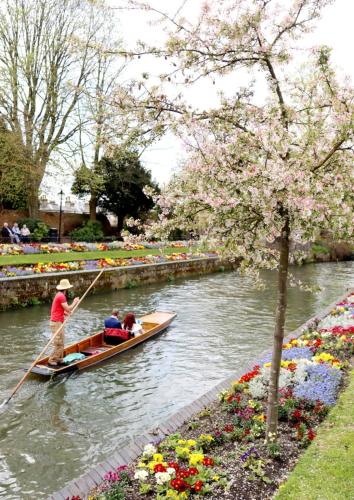 Chic, spacious & fun coastal retreat - family friendly - 3 min walk to beach Chic, spacious & fun coastal retreat - family friendly - 3 min walk to beach